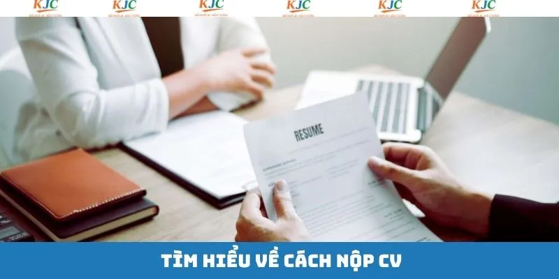Thông tin chung yêu cầu của liên minh về cách nộp CV